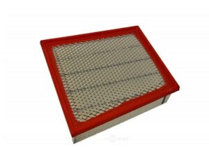 17-19 GM 6.6L Duramax L5P Air Filter
