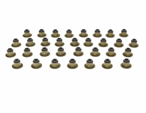 11-22 6.7L Ford Powerstroke Valve Stem Seals